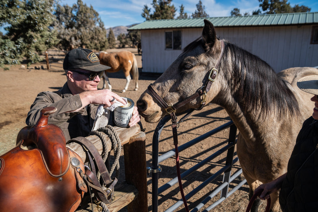 What’s the Difference Between Snowshoe Balms, Glove Love, and Leather Conditioner?